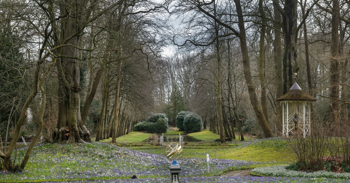 een engelse tuin in assen vol krokussen en sneeuwklokjes nrc