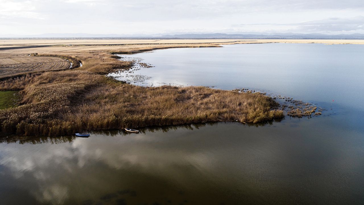 Broeikasgas methaan piekte in warm en nat 2020 – met een verrassende extra oorzaak 