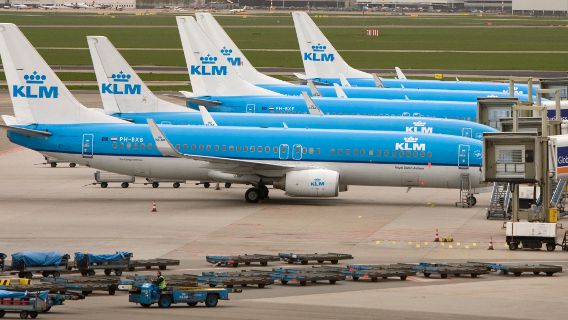 Een deel van de 737-vloot van KLM, het type toestel waarop de betreffende piloot gezagvoerder is.
