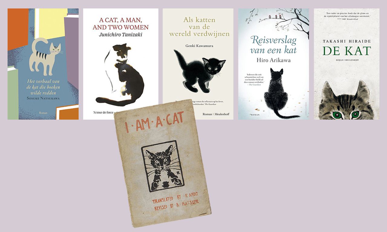 Waarom de kat zo populair is in Japanse romans - NRC