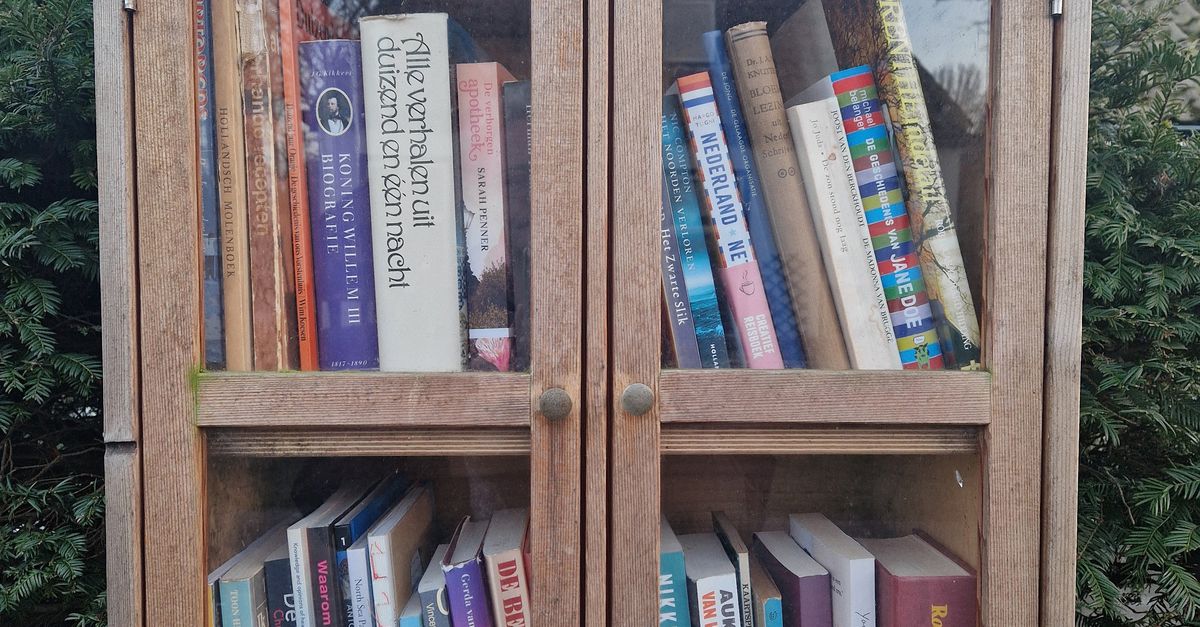 Een beeldschoon verhaal over ontheemding uit de minibieb op Schier