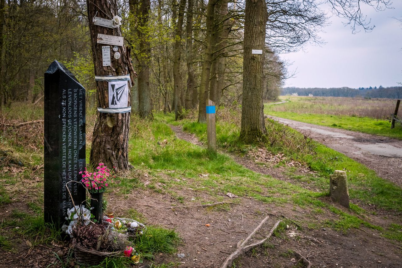 De gedenksteen voor Nicky Verstappen op de Brunssummerheide.