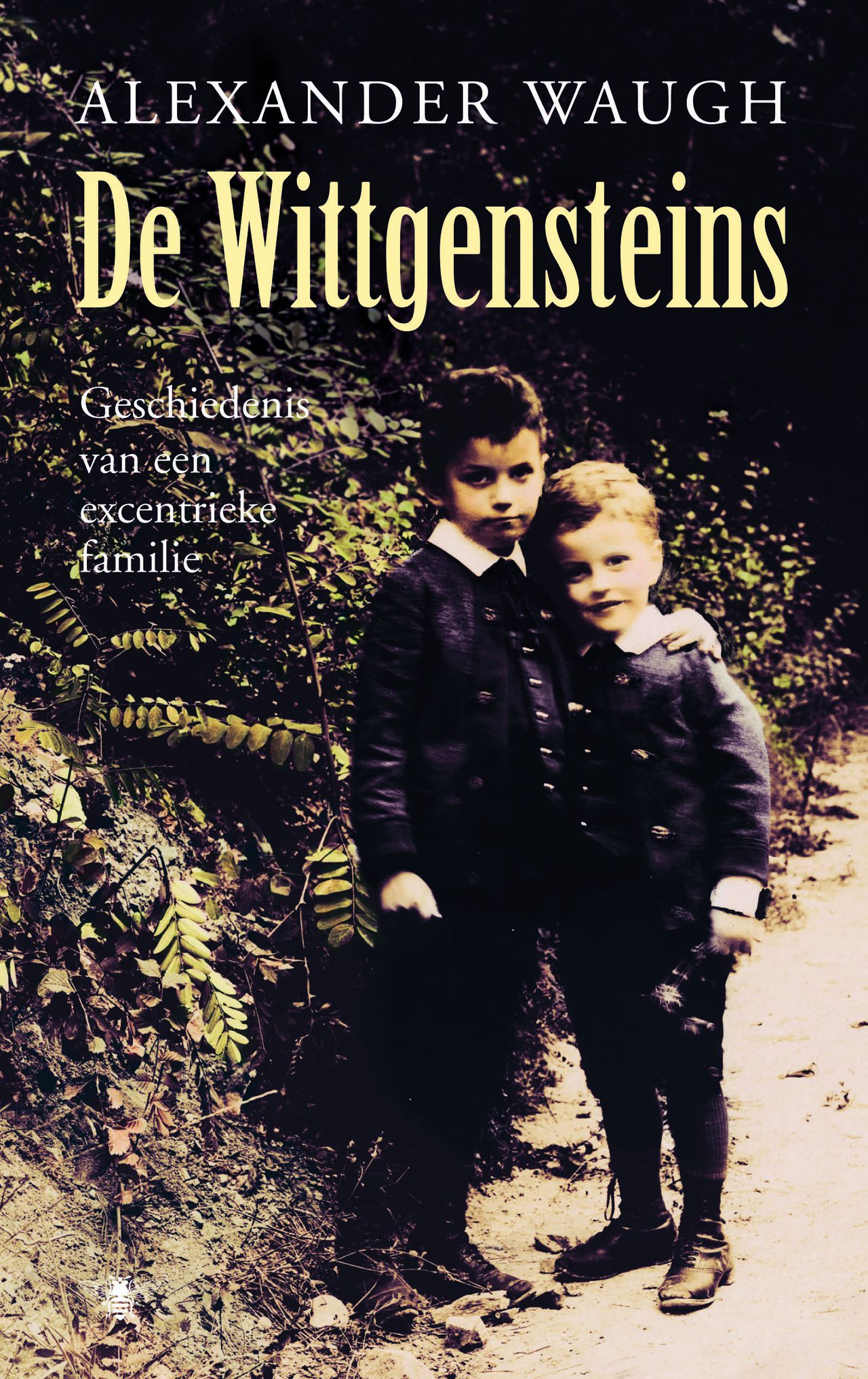 the house of wittgenstein a family at war