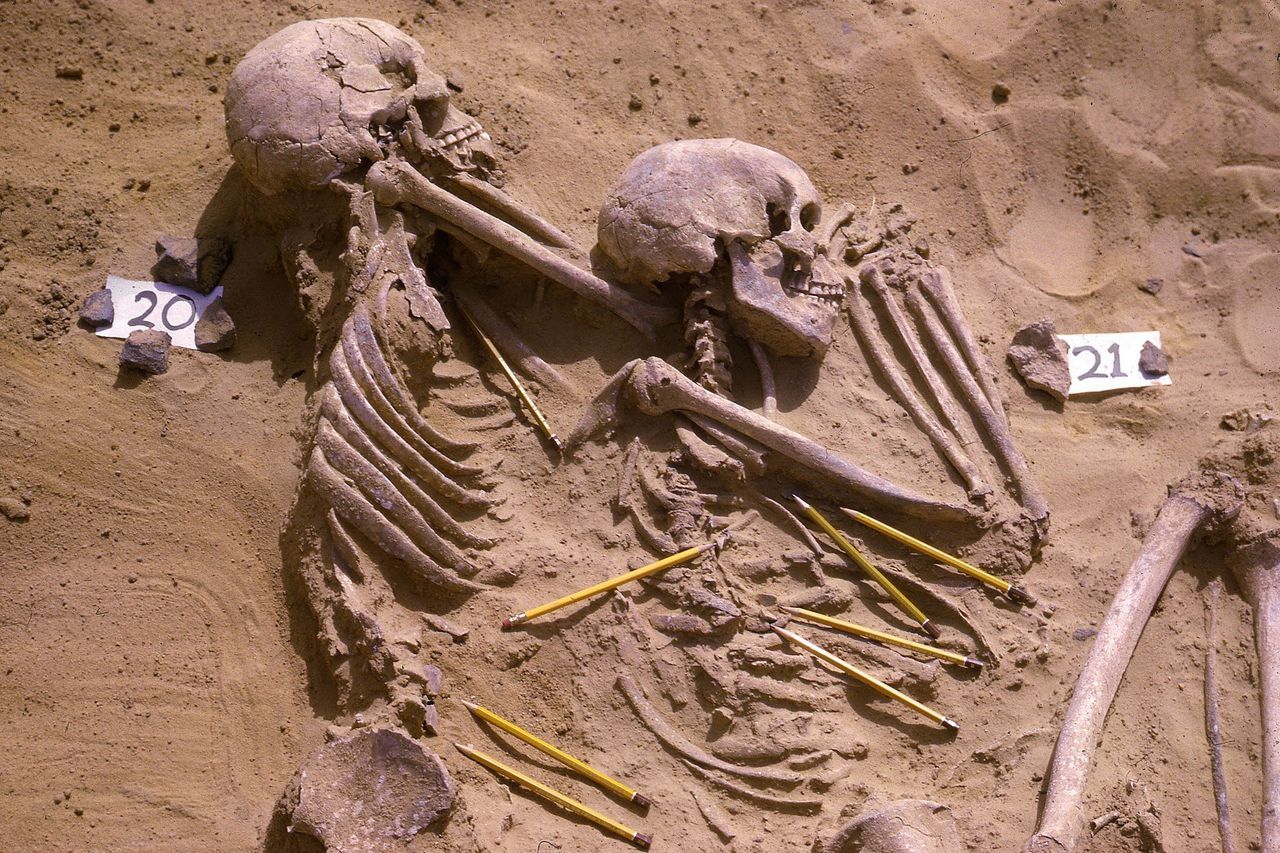 Skeletten van twee volwassen mannen in een grafveld ( Jebel Sahaba) in Noord-Soedan. Beiden stierven aan verwondingen die door andere mensen zijn toegebracht.