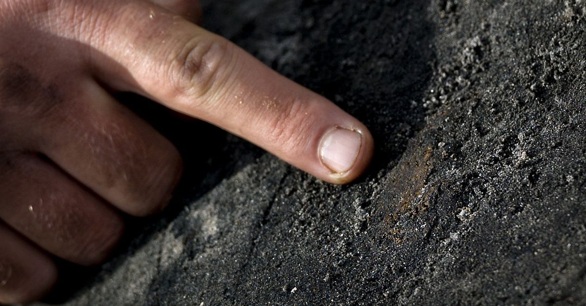 Prehistorische kustbewoners van Nederland schakelden op een unieke manier over op landbouw
