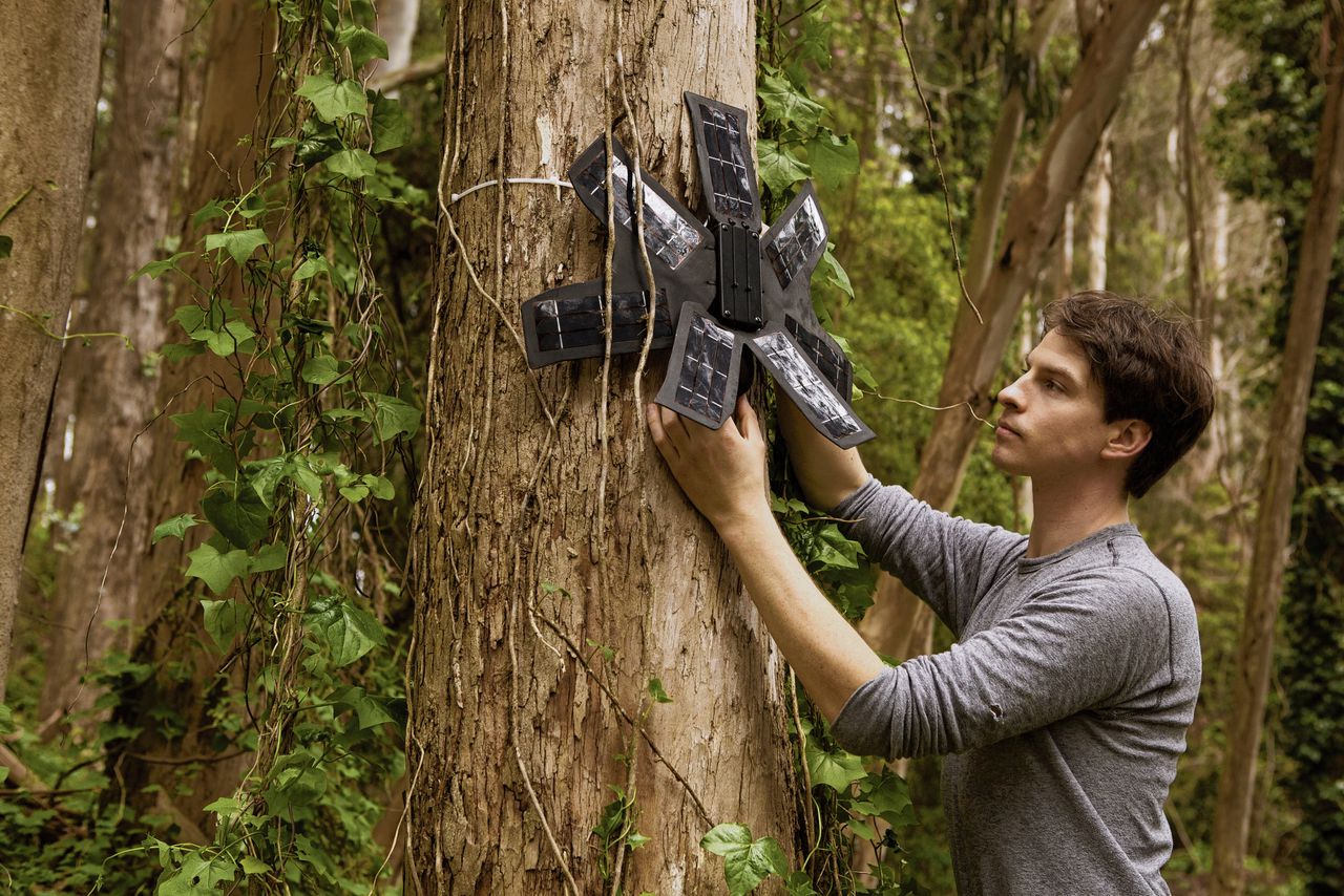 Deze man wil alle regenwouden volhangen met mobieltjes 