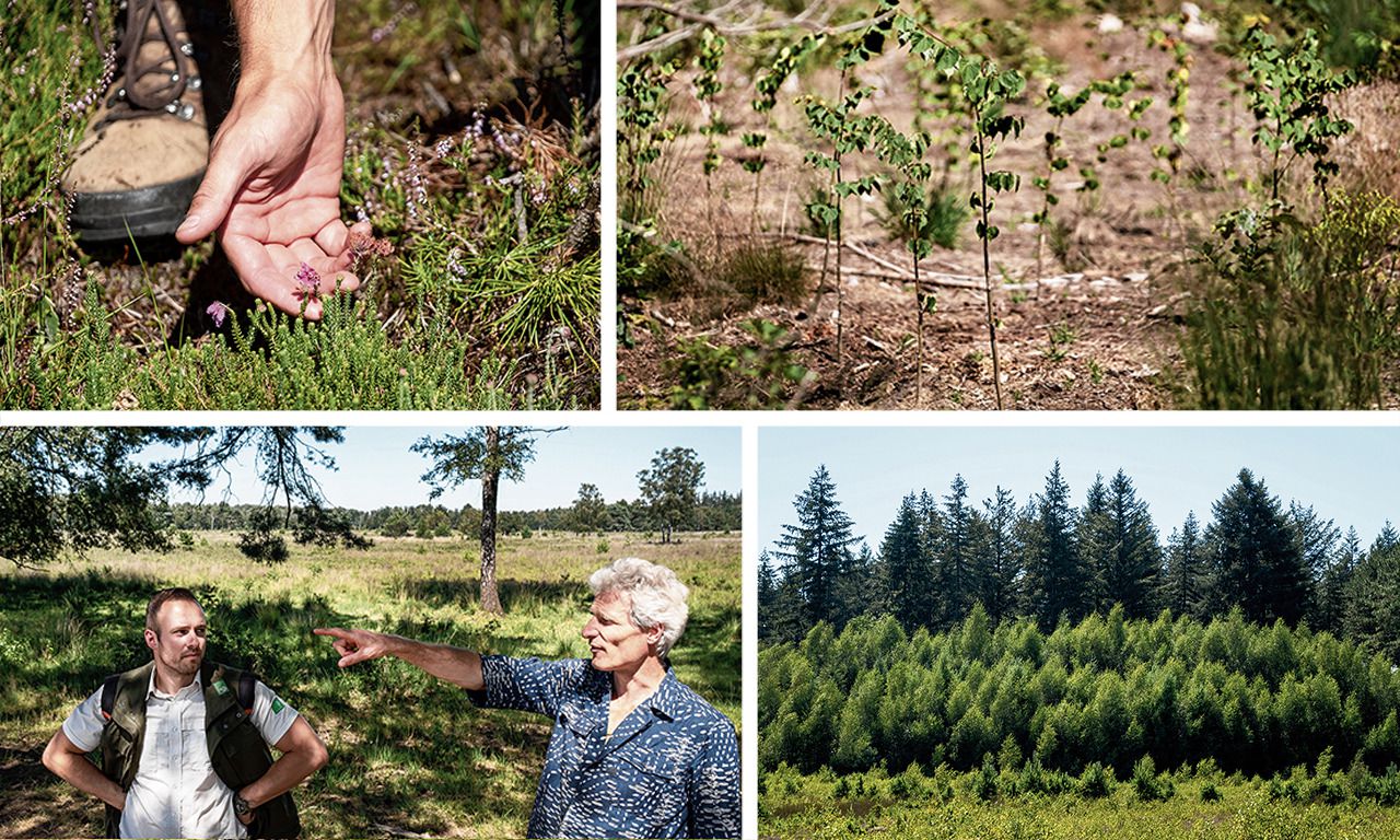 Boswachter Erik Schram en ecoloog Emiel Brouwer bespreken de waterhuishouding in het Leenderbos. Dit jaar zijn er ruim 100.000 bomen aangeplant.