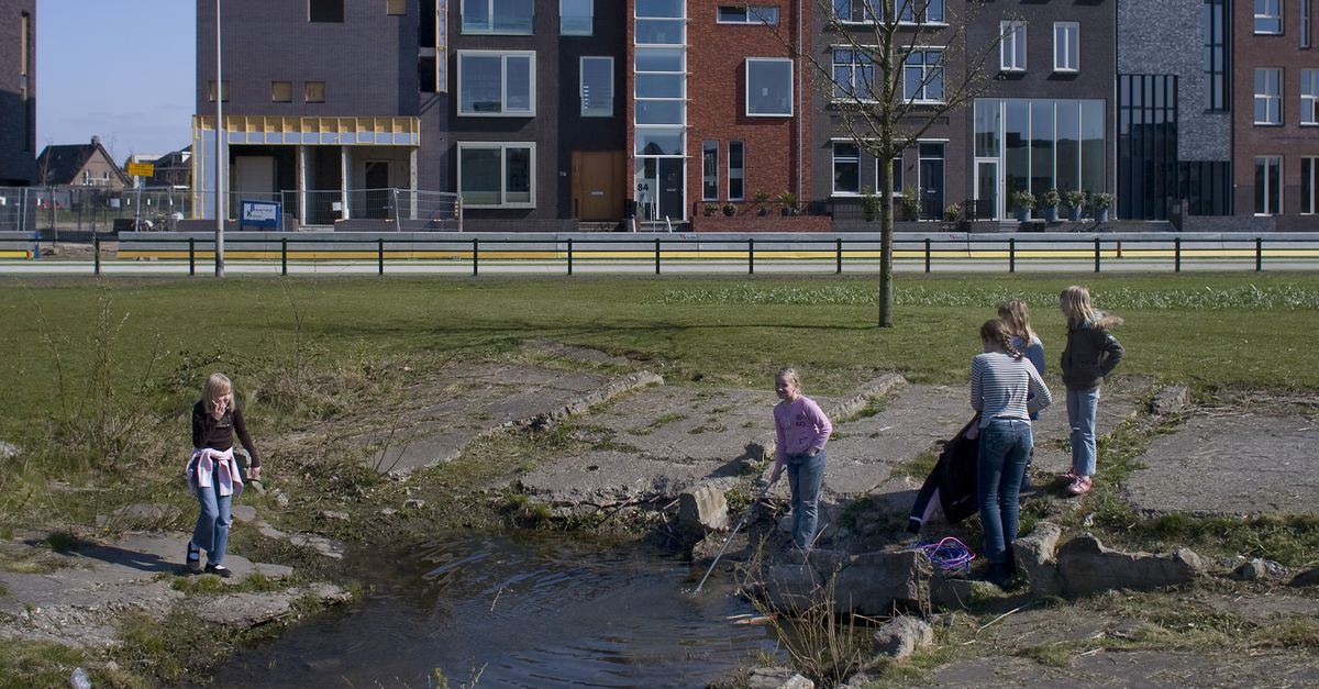5 Festival Nrc