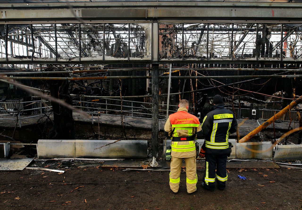 Brandweerlieden kijken naar de resten van het apenverblijf van de dierentuin in Krefeld.