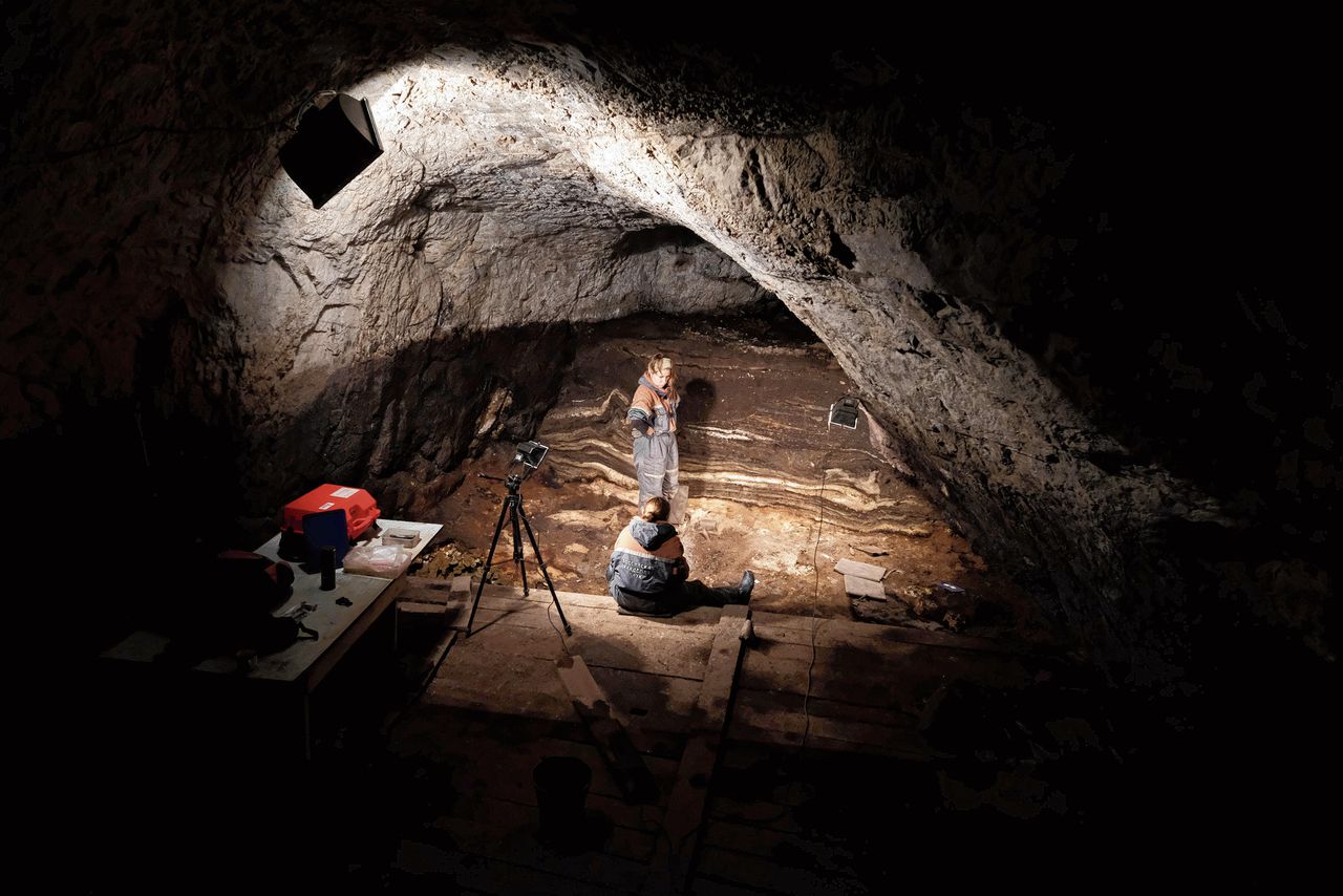 Huzarenstukje in de archeologie: 24.000 jaar oud ijstijd-sieraad blijkt nog dna te bevatten van de vrouw die het ooit droeg 