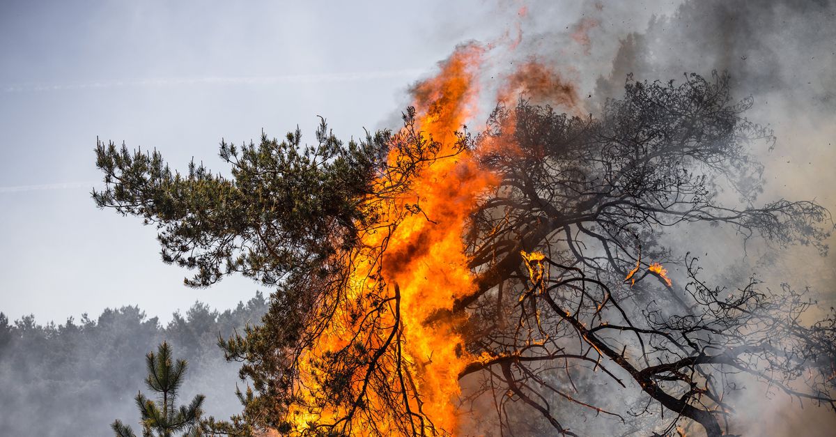 De coördinator natuurbrandbeheersing waarschuwt al tijden: ‘Gelijktijdigheid is een groot probleem voor ons. Het piept en kraakt’