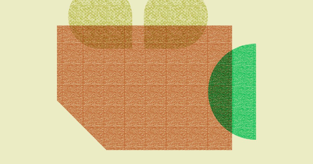 Paul Mescal als Shakespeare en Oscarwinnende oorlogsdocumentaires: dit zijn de beste films van dit m