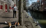 In Dordrecht they hardly do what happens elsewhere in the Netherlands: talk about what to do in the event of a disaster. 