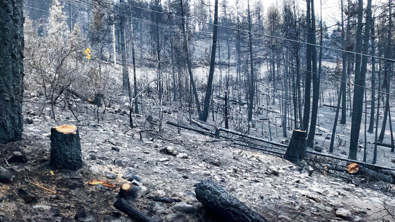 'Klimaatkruisvaarder' Bernice Notenboom was bij de bosbranden in Canada: 'Extreem weer wordt het nieuwe normaal' 