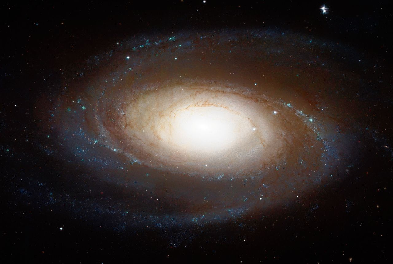 Het sterrenstelsel M81. De vorig jaar waargenomen radioflits komt uit een zwerm van sterren hier omheen.
