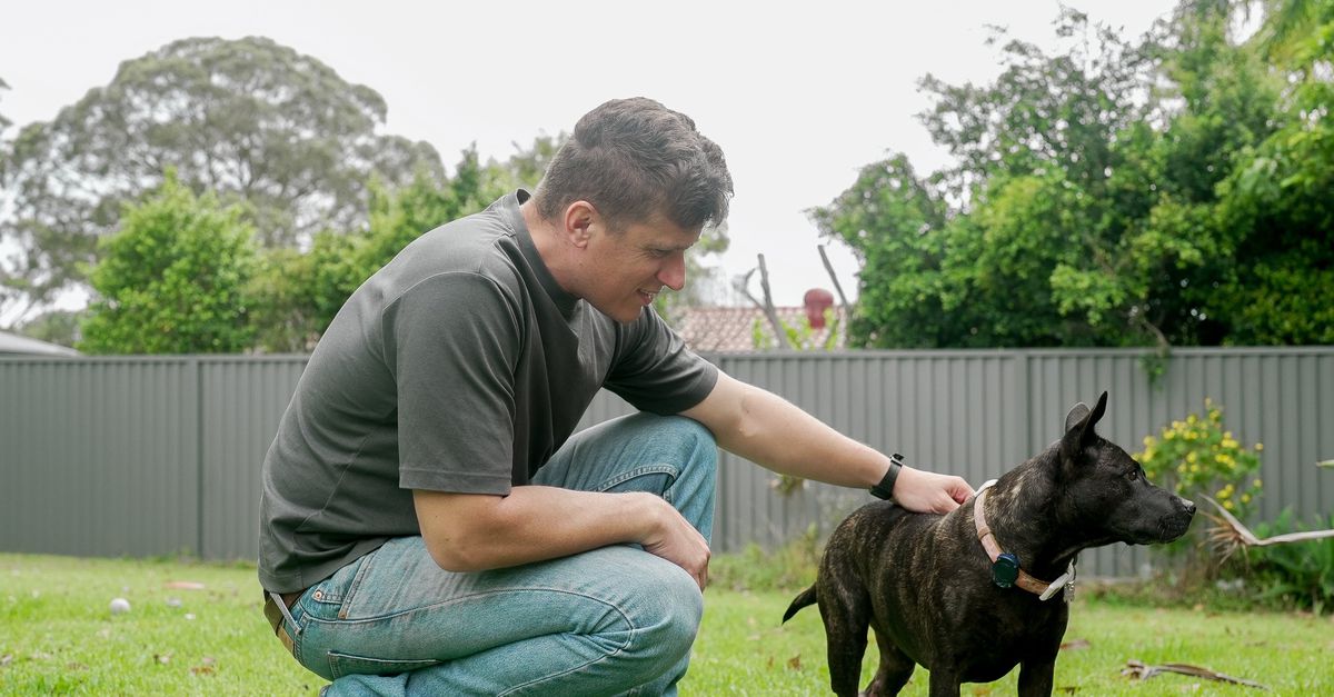 Australiër maakt voor zijn hond een doe-het-zelfmedicijn tegen kanker