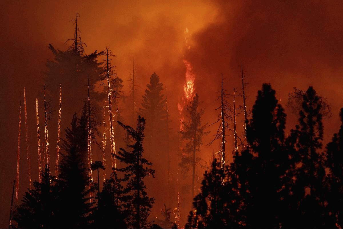 De bosbranden in het Yosemite National Park 