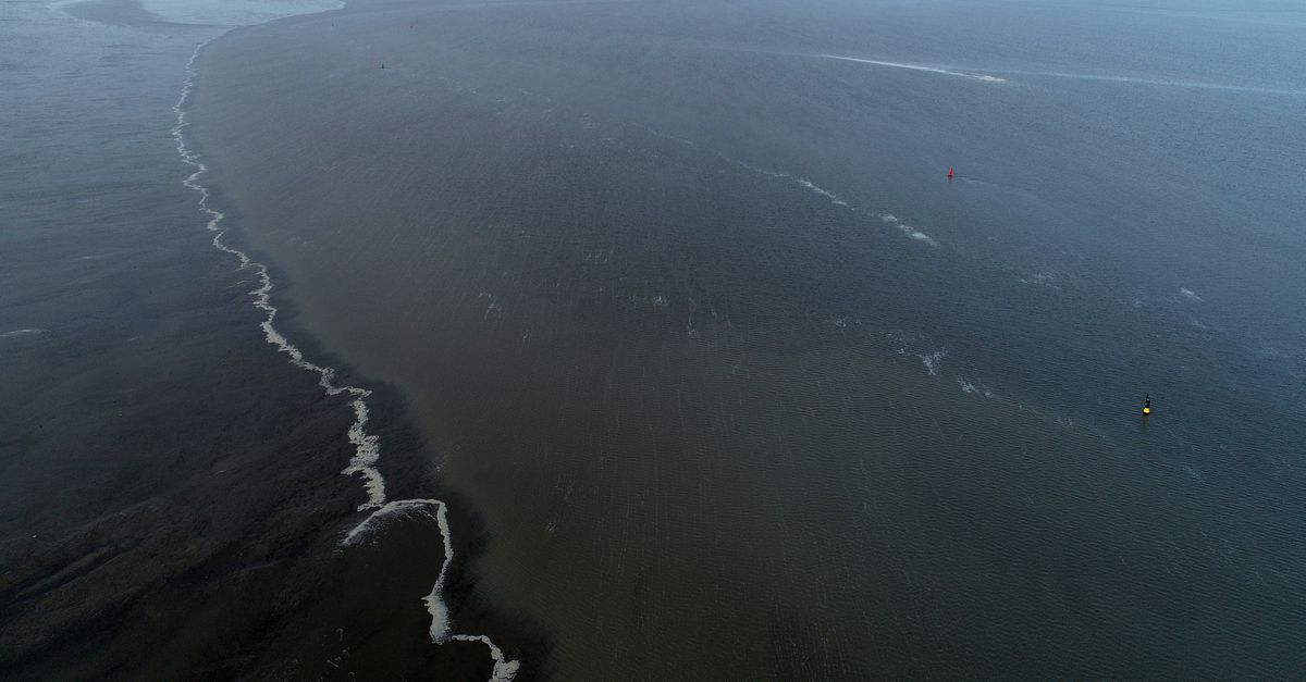 Opinie | De les van Holwerd: vertrouw op dromers en pioniers