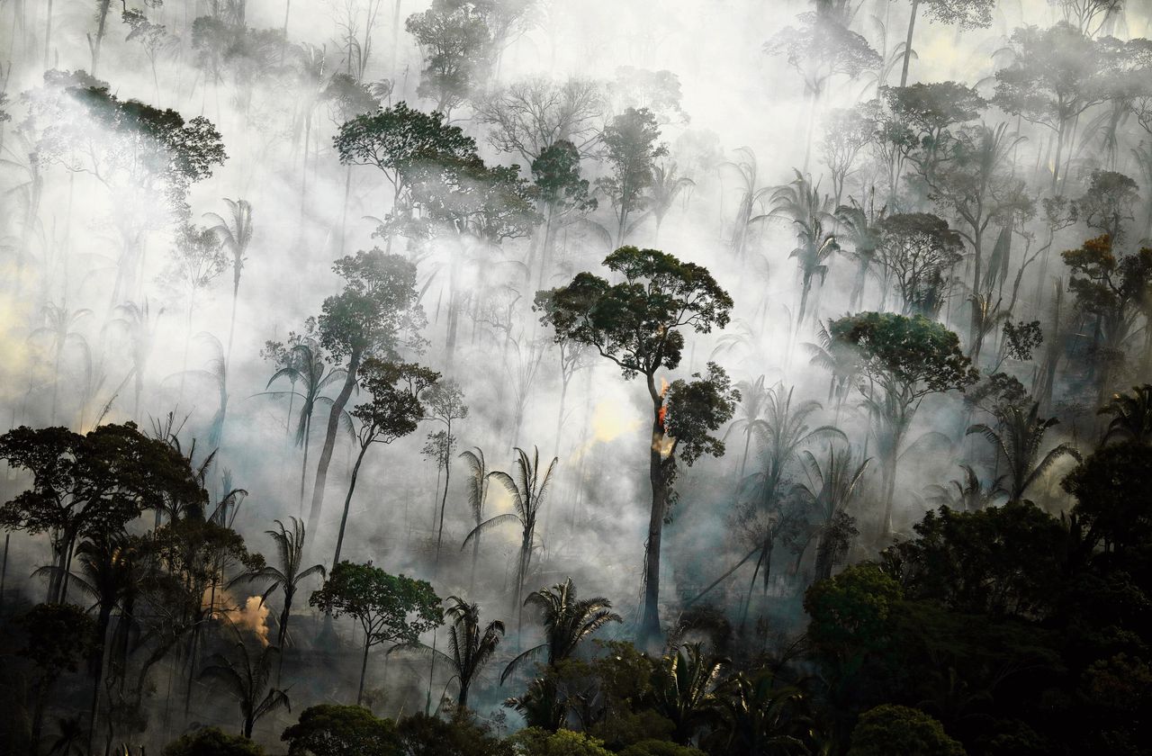 Brandend Amazonewoud in de buurt van Porto Velho, Brazilië, in september 2019.