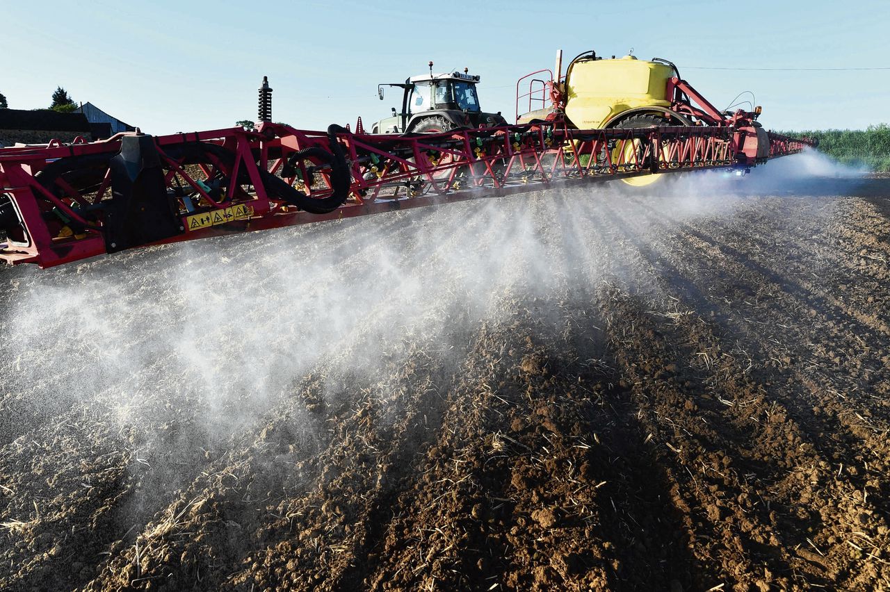 (FILES) In this file photo taken on May 11, 2018 French farmer Nicolas Denieul pulverizes a glyphosate herbicide made by agrochemical giant Monsanto in Piace, northwestern France, in a field of no-till corn planted.Altough France has vowed to stop the use of glyphosate by 2021, amendments to put it into a legislation were rejected by lawmakers overnight on May 29, 2018. / AFP PHOTO / JEAN-FRANCOIS MONIER