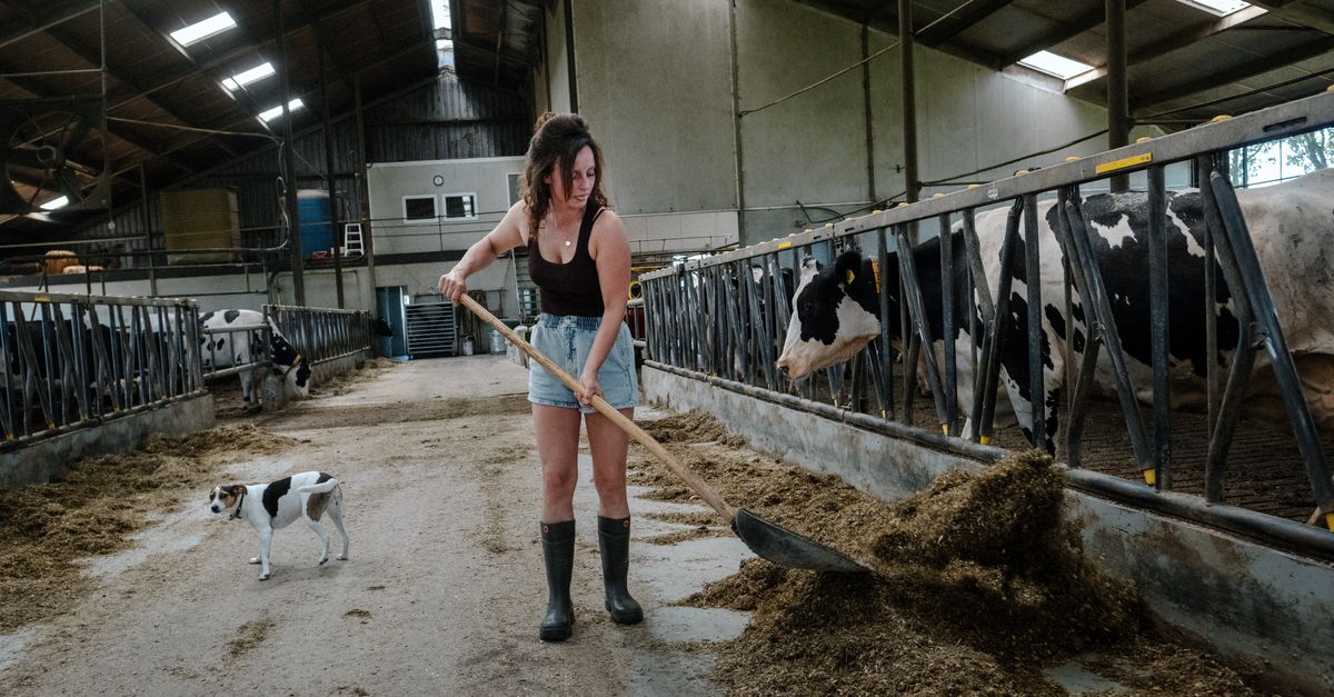 In de Peel is de natuur er slecht aan toe en rouwen boeren nu al om hun land. Wat gaat het stikstofpakket betekenen?