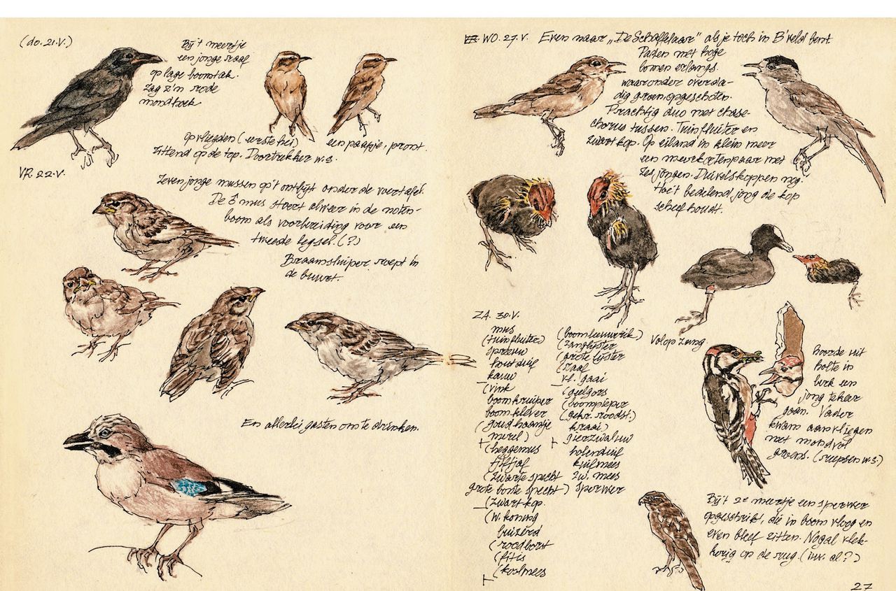 Peter Vos tekende én beschreef de ontmoetingen die hij had met vogels, in het buitenhuisje in Lunteren.