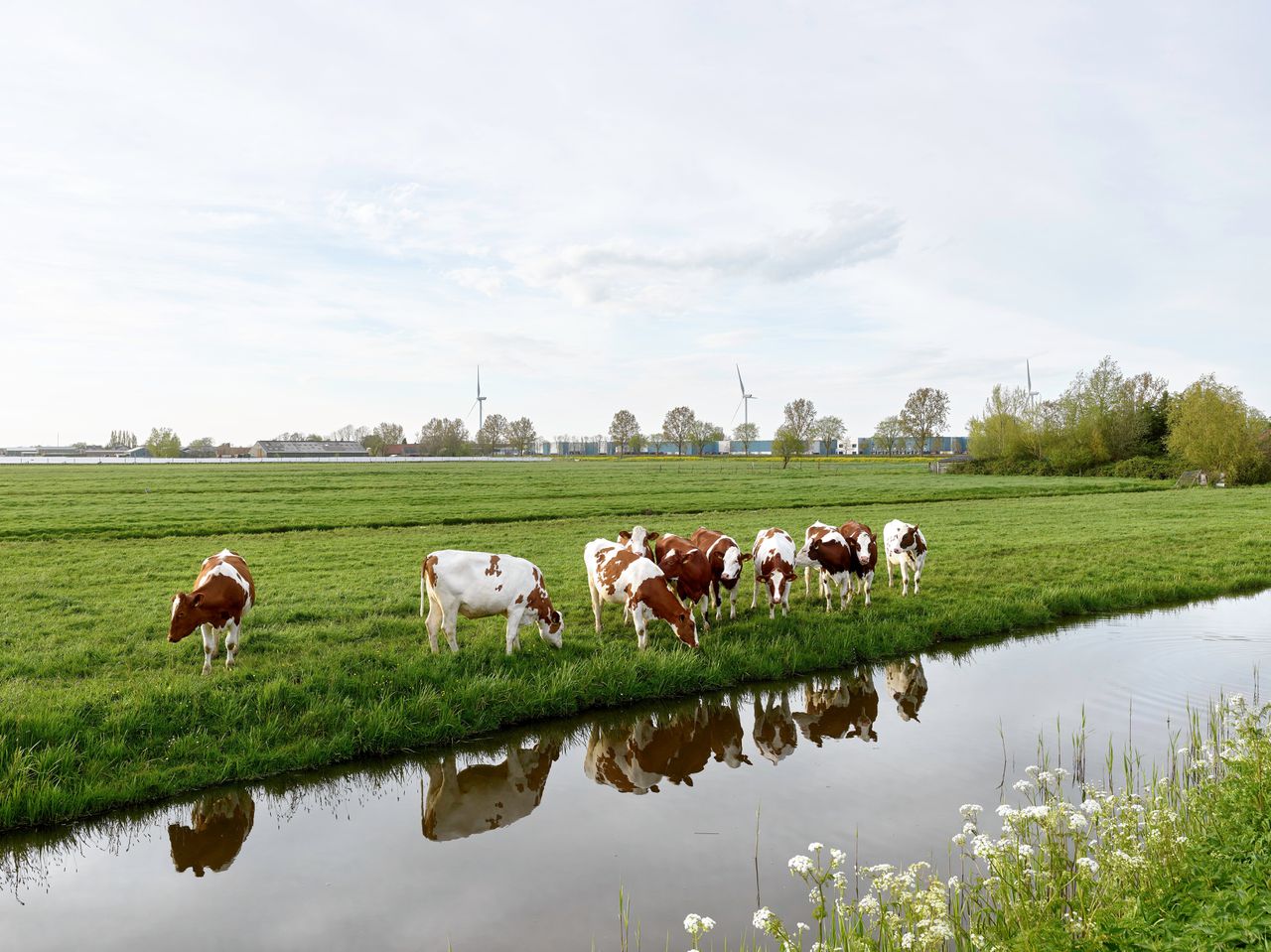 Ook Rijkswaterstaat in beroep tegen bouw 8.000 woningen Zuidplaspolder 