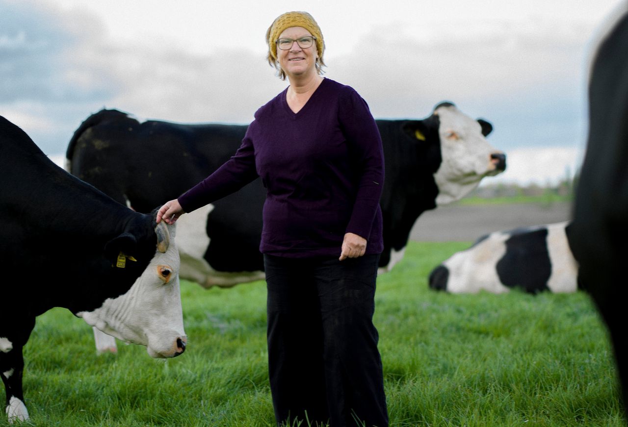 Leonie Cornips in de wei tussen de koeien van boer Jan Piet Scheringa in Middenbeemster.