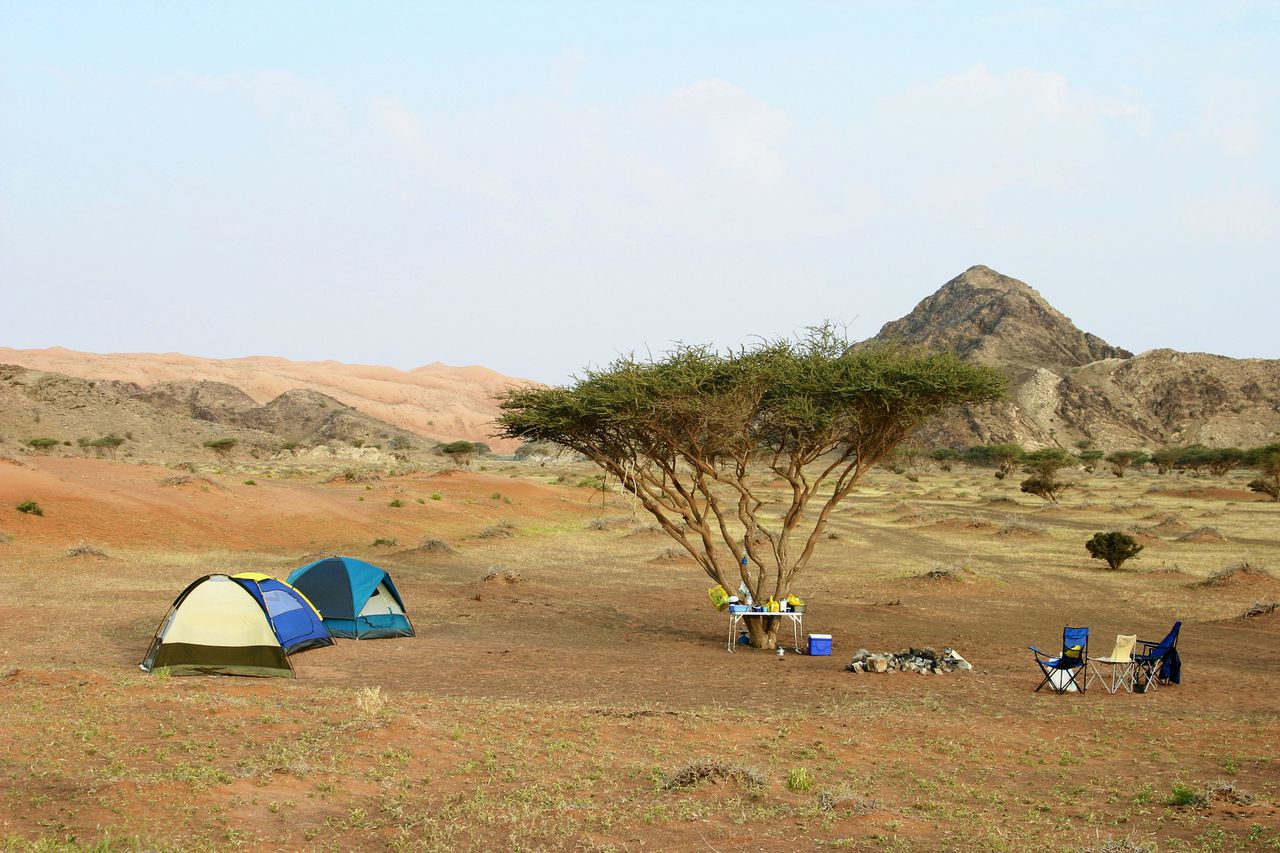 Kamperen in Wadi Sumayni, Oman, bij een acaciaboom.