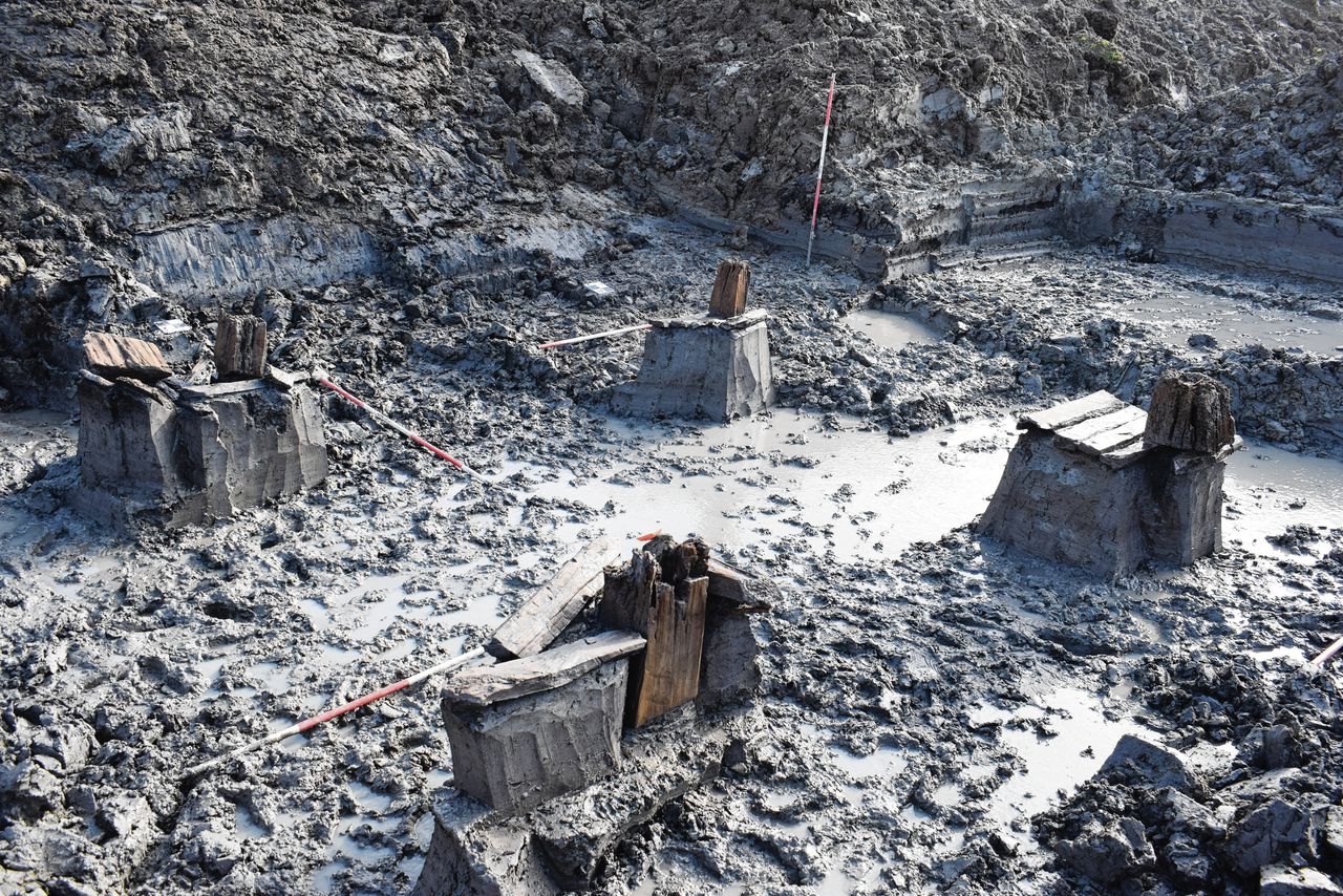 Tweeduizend jaar oud Romeins hout in de Zuid-Hollandse klei bij Valkenburg (ZH): vier palen van een toren, gefundeerd op houten balken en planken.