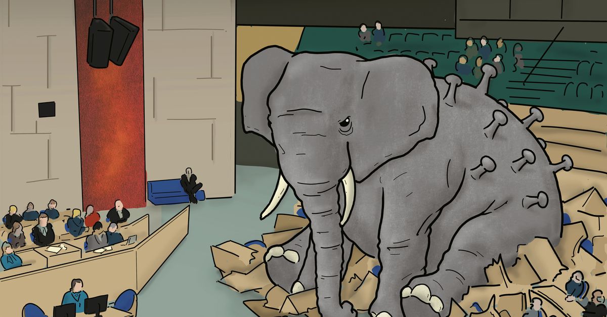 Opinie | De olifant in de Kamer - NRC