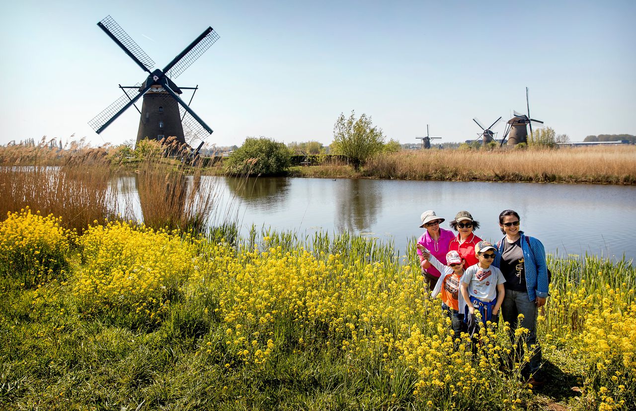 Toeristen bij de molens in Kinderdijk.