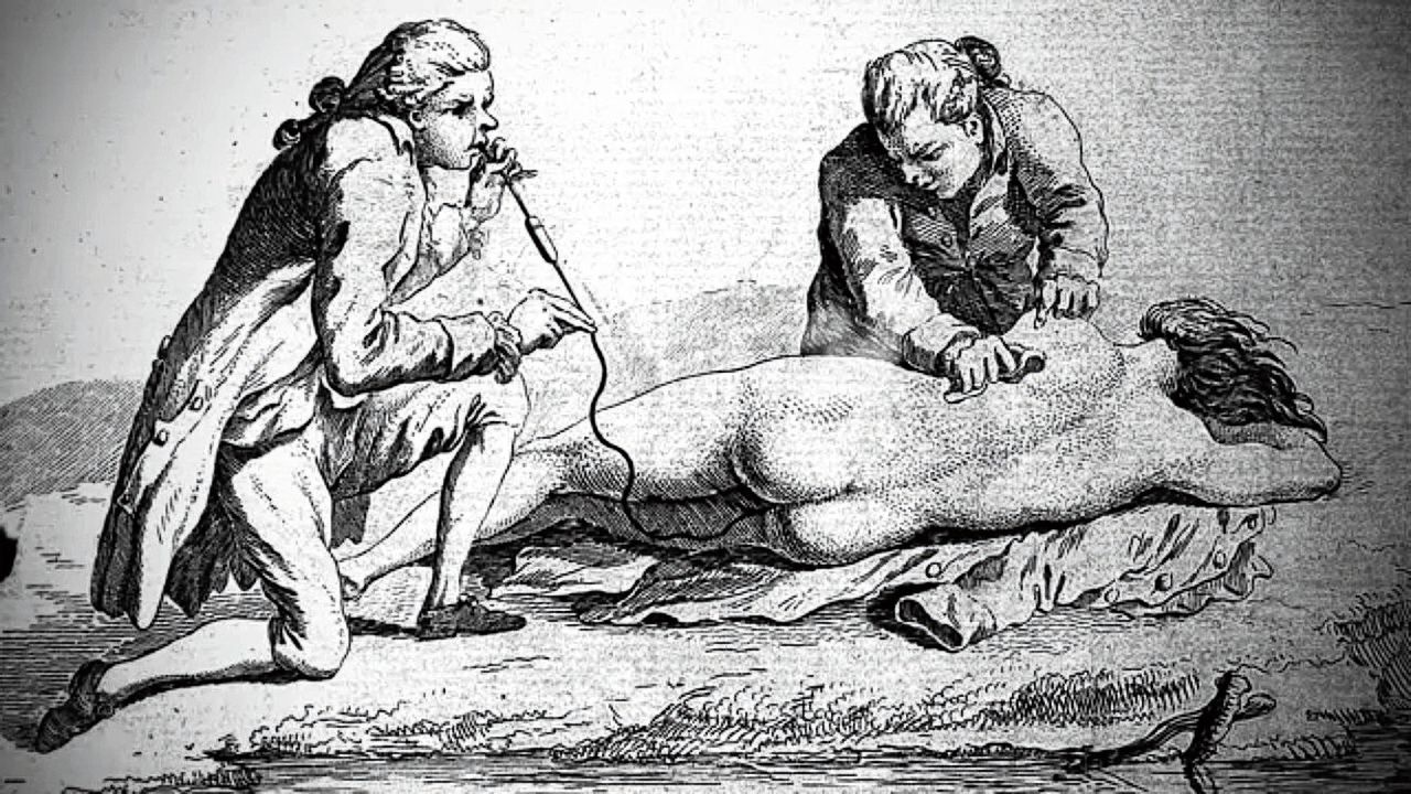 data16411798-741ed4.jpg