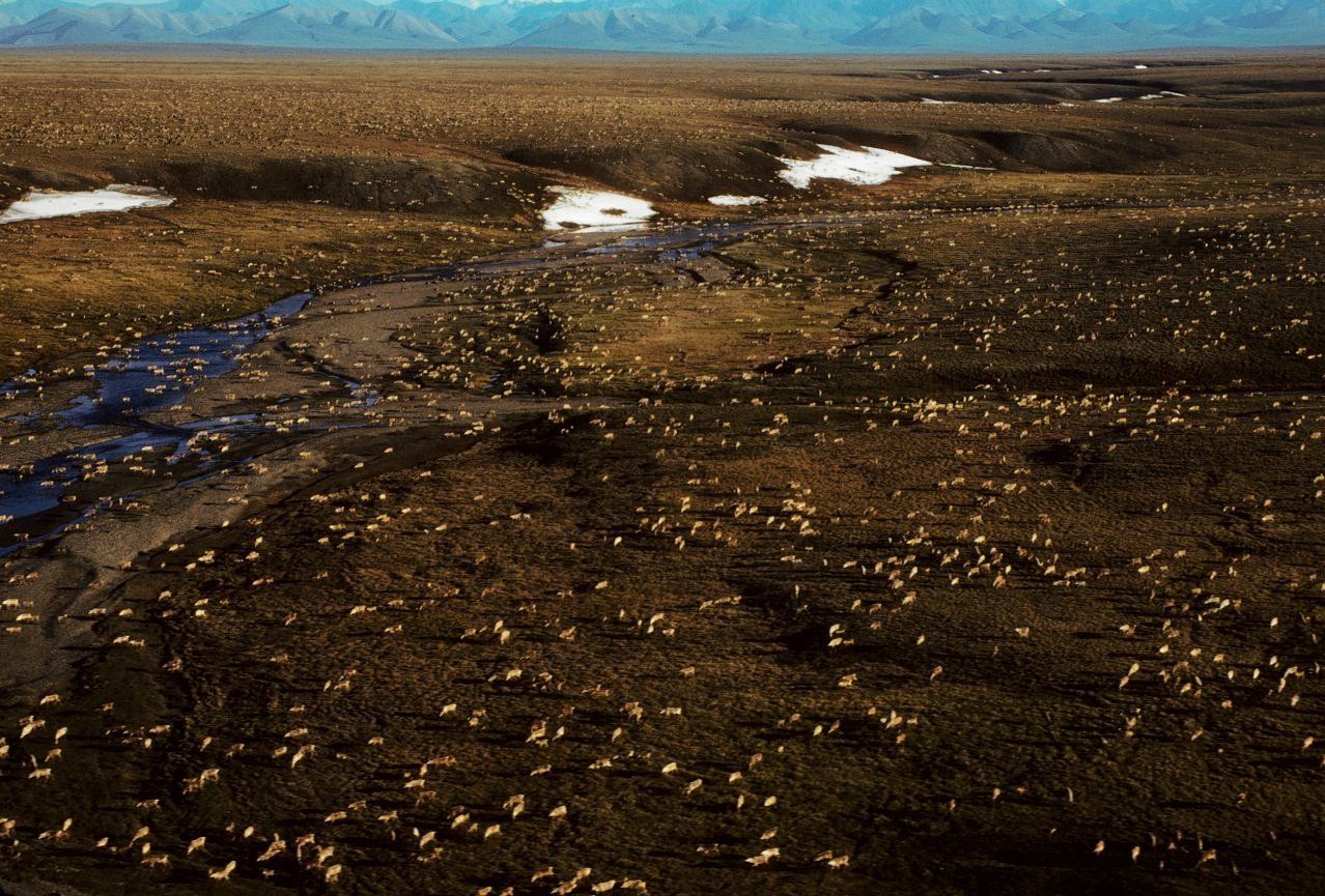 Een luchtfoto van het natuurgebied in het noorden van Alaska.