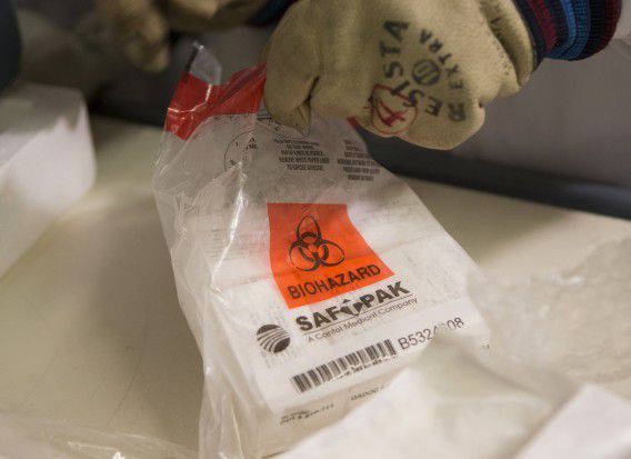 Een experimenteel ebola-vaccin dat per januari in West-Afrika wordt verstrekt.