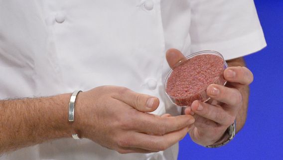 Chefkok Rich McGeown staat op het punt de eerste kweekvleeshamburger te bakken tijdens een persconferentie in Londen vanmiddag.