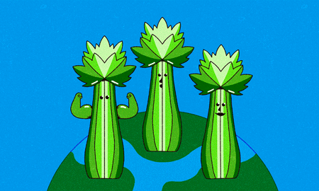 Wat heb je aan extra vezels in je halvarine?