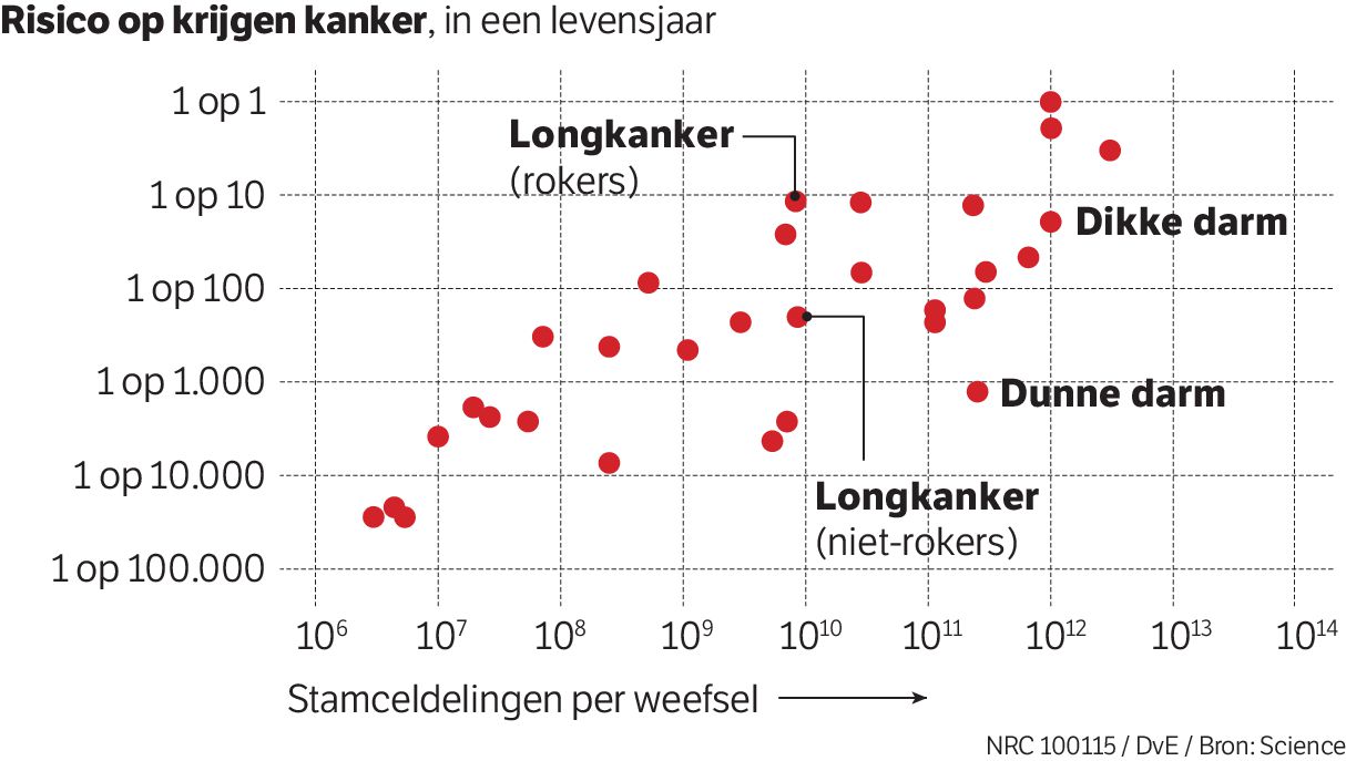 Kanker Is Altijd Pech Nrc