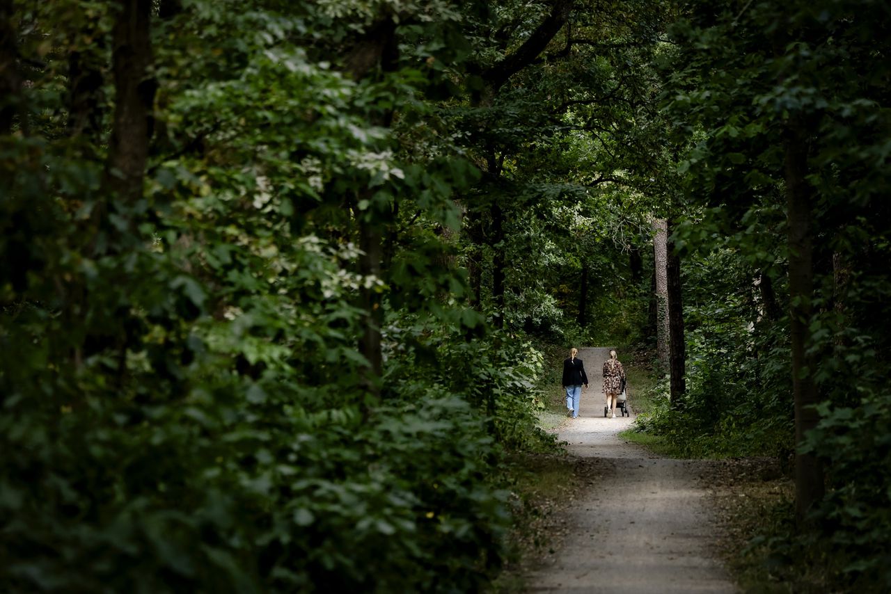 Osumljenec za spolno kaznivo dejanje v Zeistu aretiran po prejemu nasvetov