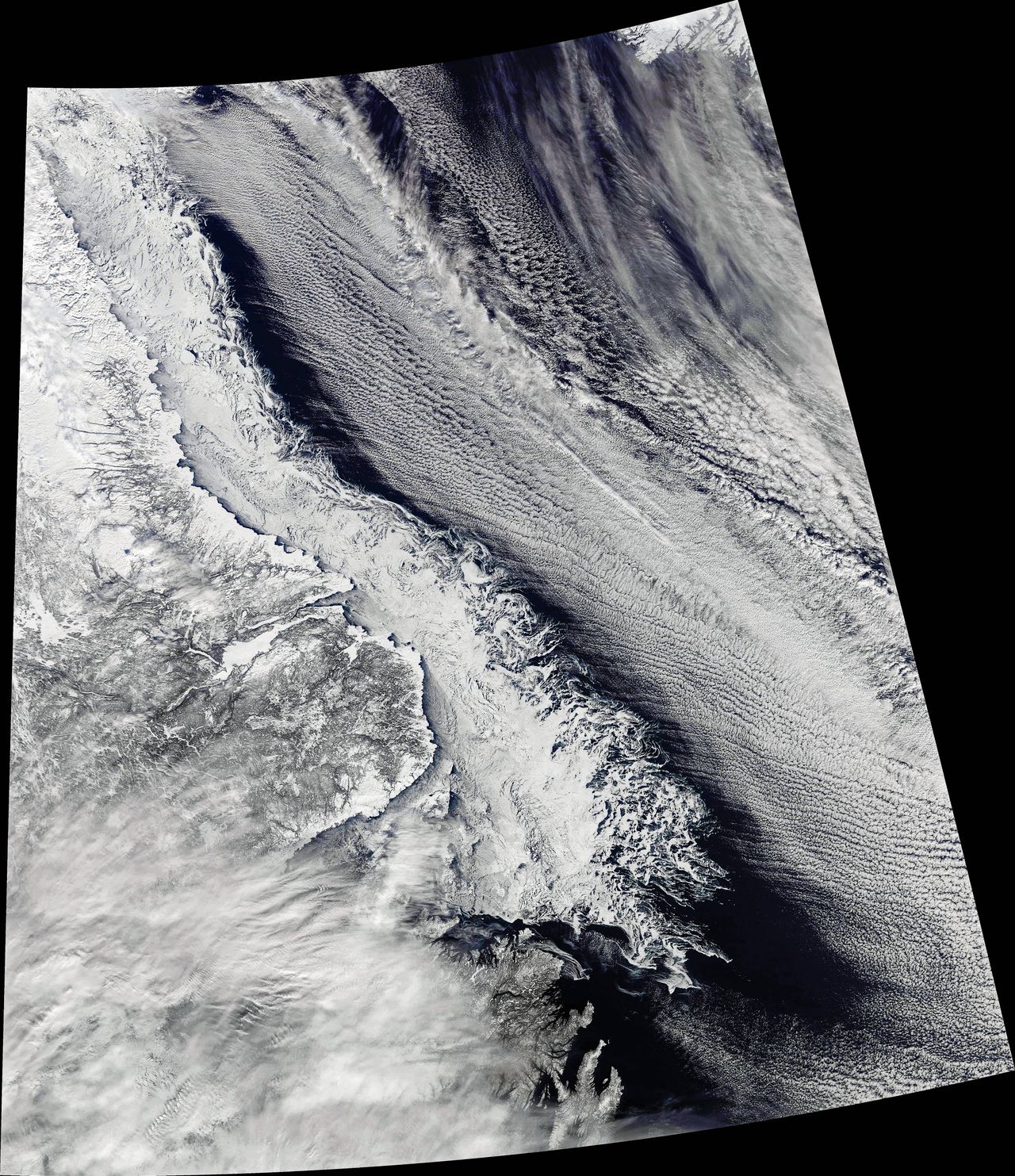 Satellietfoto van zee-ijsmaximum noordelijk van Canada, 27 februari.