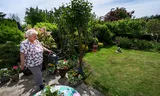 Allotment garden on the border of Bezuidenhout and Mariahoeve on the IJsclubweg of the Amateur Tuindersvereniging Loolaan in The Hague. Photo Olivier Middendorp 