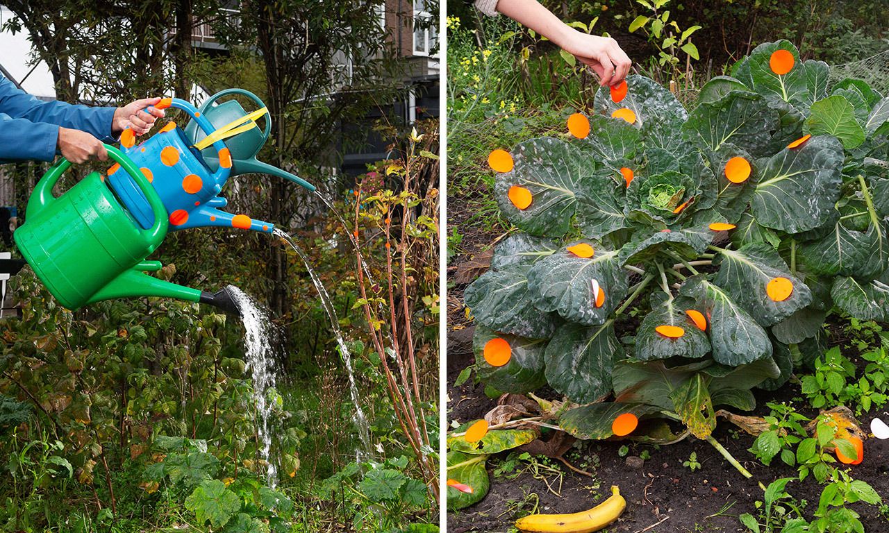 Een nieuwe hobby: een recept voor geluk 