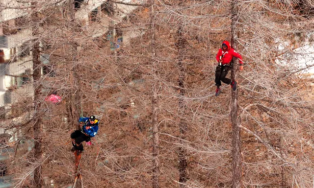 Foto Van De Dag In 2020 Nrc