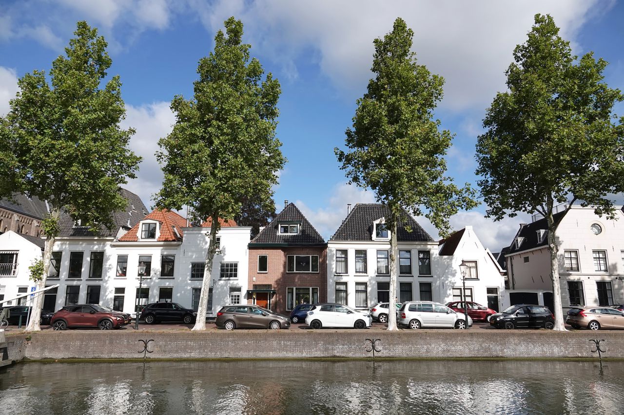 Steden koelen met bomen. Waarom werkt dat beter in Amsterdam dan in Rome? 