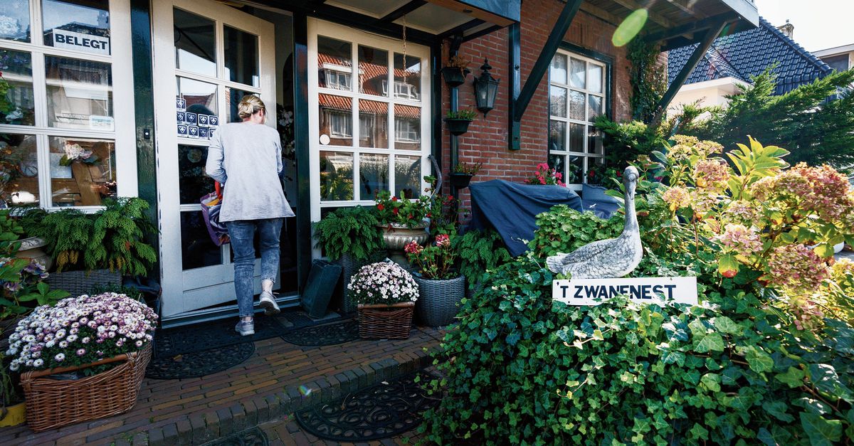 Goudkoorts in Zandvoort: wat is je huis waard tijdens de Formule 1?