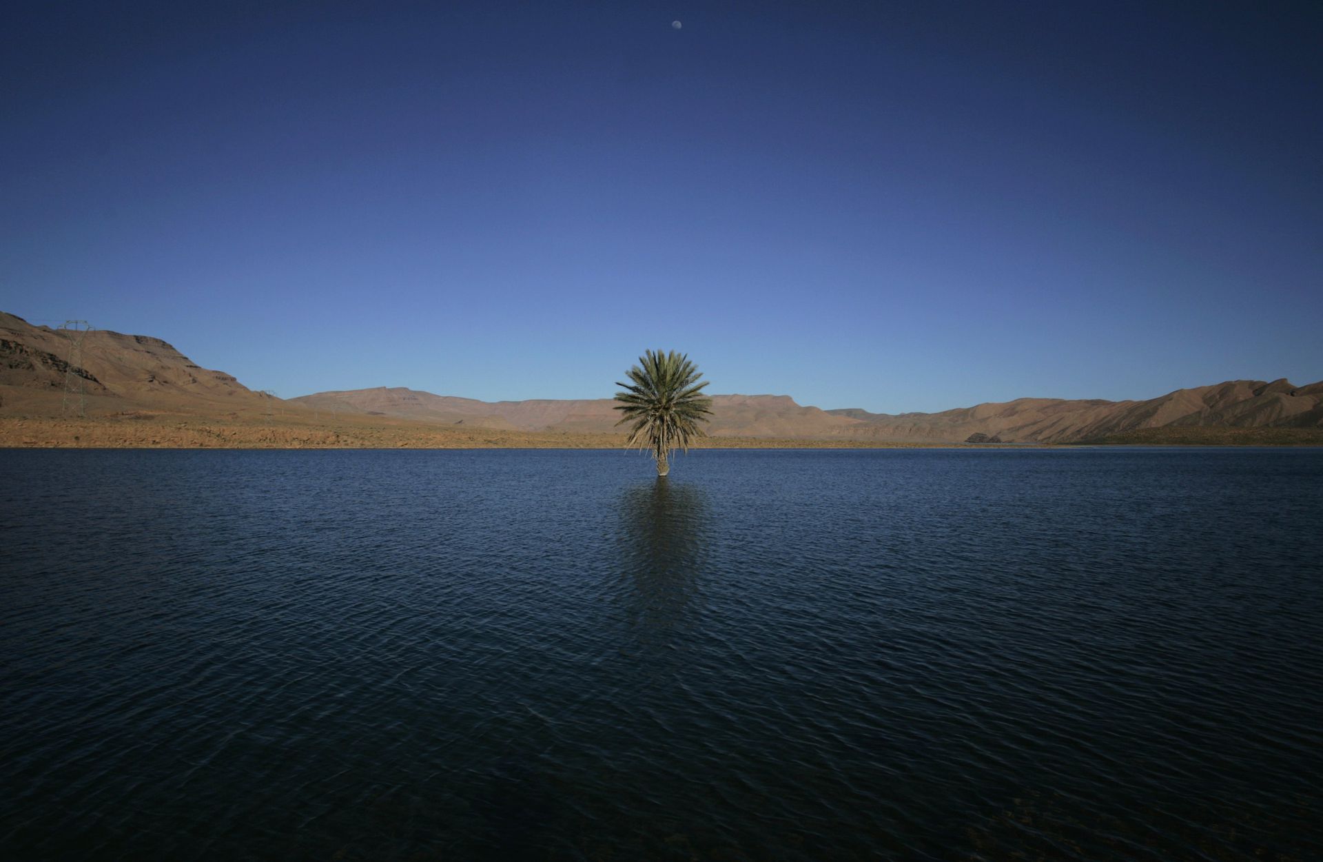 Rivers in the desert. Таманрассет река. Пустыня сахара 5000 лет назад. Река в пустыне сахара.