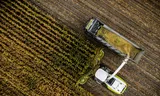 Een dronefoto van een maïsveld. 80 procent van de 1 miljard uit het transitiefonds van de Rabobank ging naar boeren die extra grond kochten.
