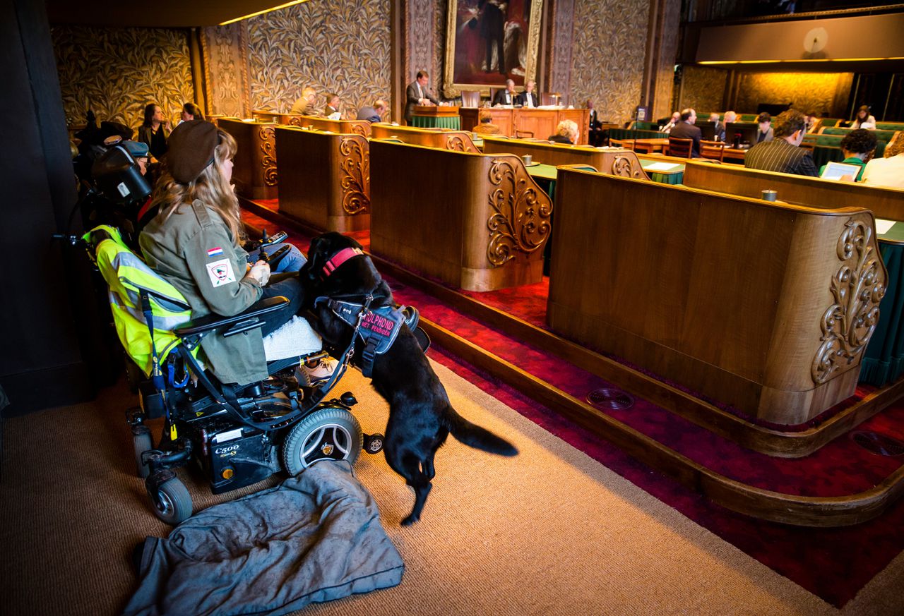 Eerste Kamer stemt in met grondwettelijk verbod op discriminatie om handicap 