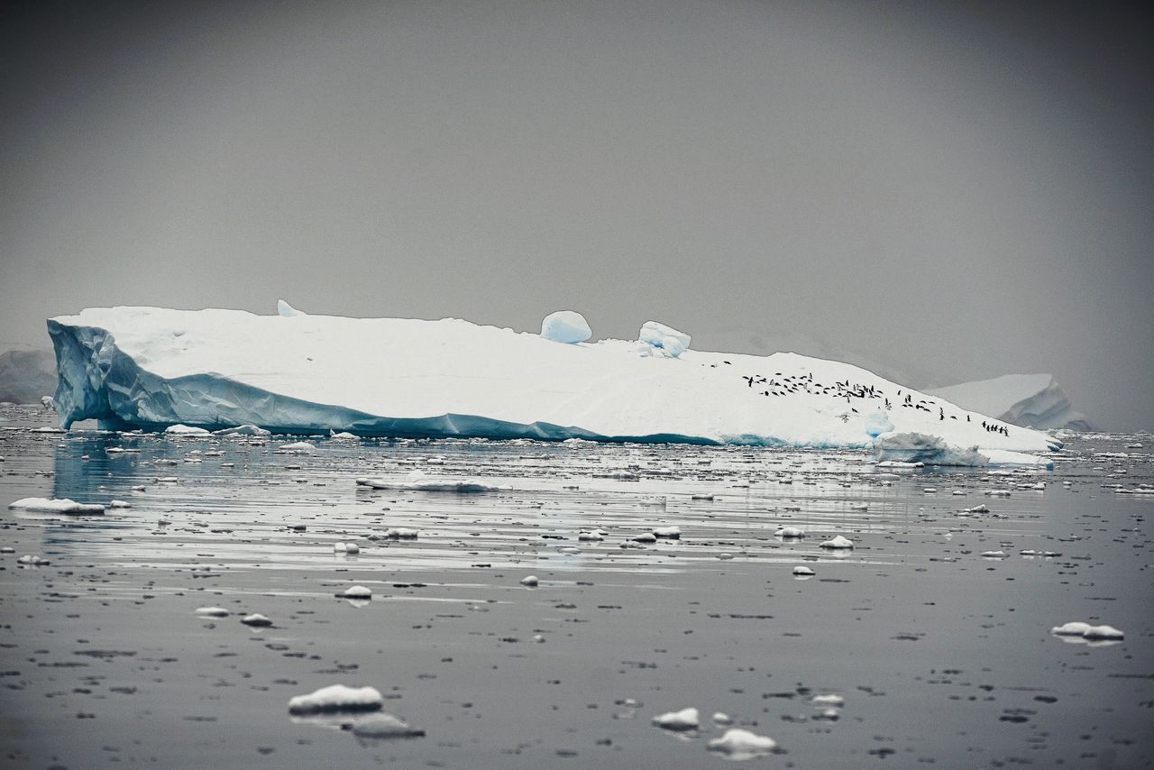 IJsberg in de Andvordbaai, Antarctica.