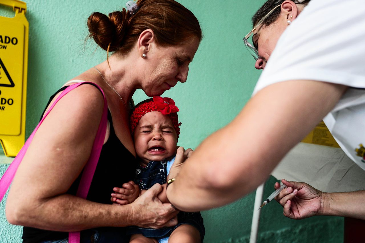 Bijna zeventig doden na uitbraak gele koorts in Brazilië 